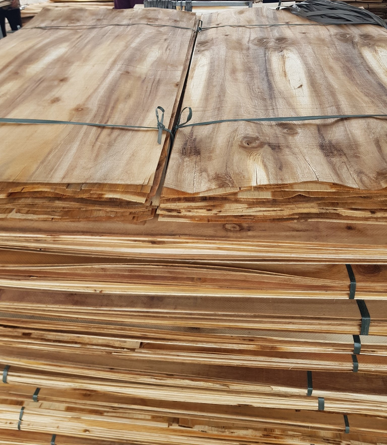 Core Veneer characteristics for plywood manufacturing in Vietnam & TRUONG MINH DAT Factories